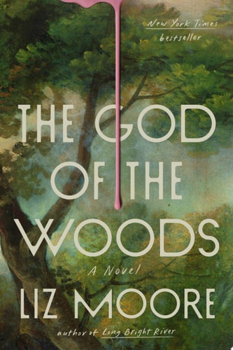 The God of the Woods A Novel book cover