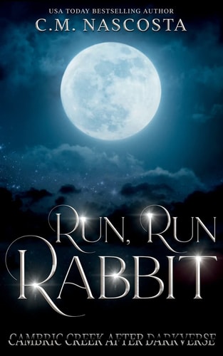 Run, Run Rabbit book cover