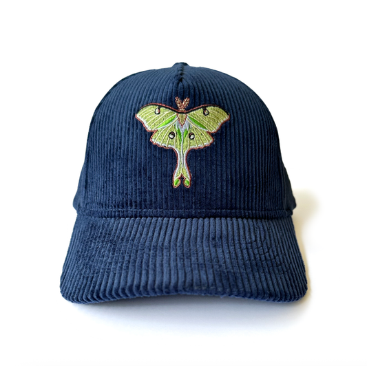 Luna Moth Corduroy Hat
