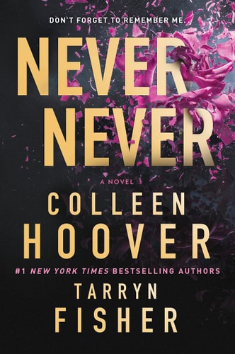 Never Never book cover