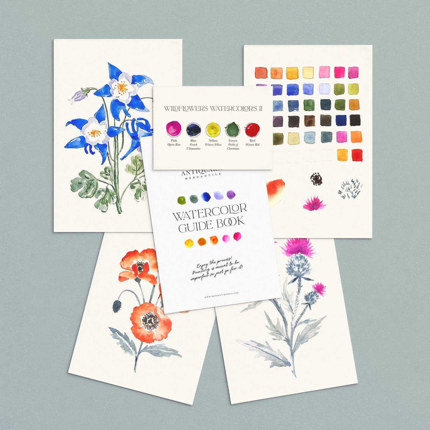Watercolor Painting Kit : Wildflowers No2