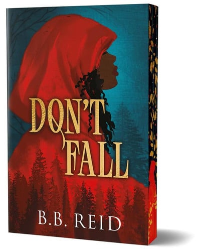 Don't fall book cover