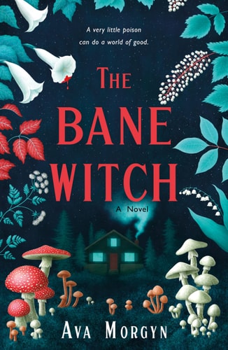 The Bane Witch A Novel book cover