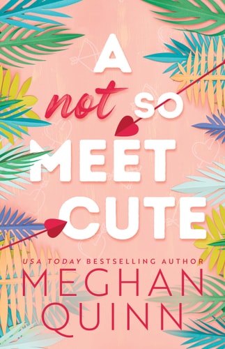 A Not So Meet Cute book cover