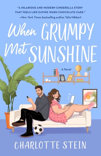 When Grumpy Met Sunshine: A Novel book cover