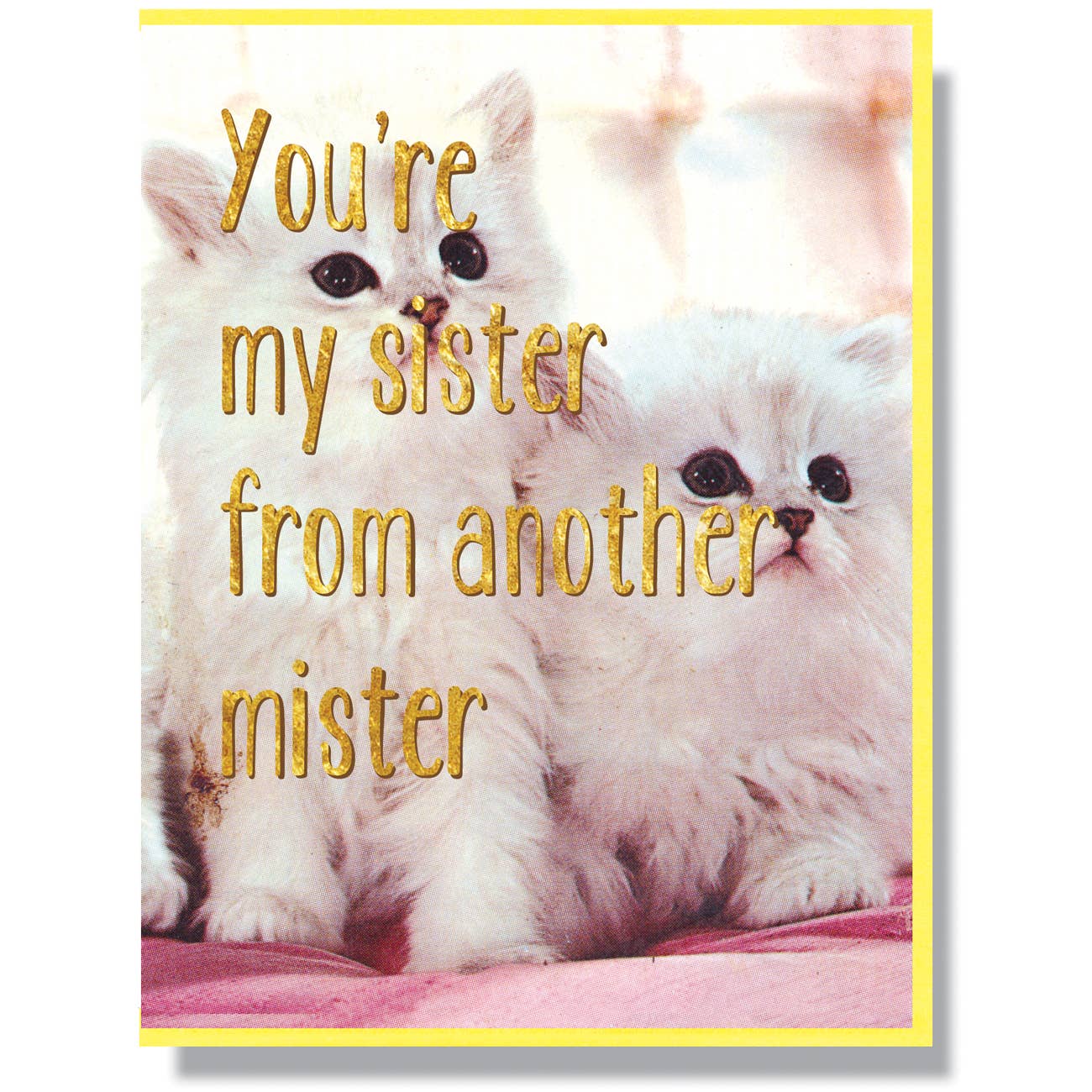 Sister From Another Mister Card