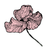 logo of Swoon City: Romance Book Store & Craft Shop in Ballard, Seattle