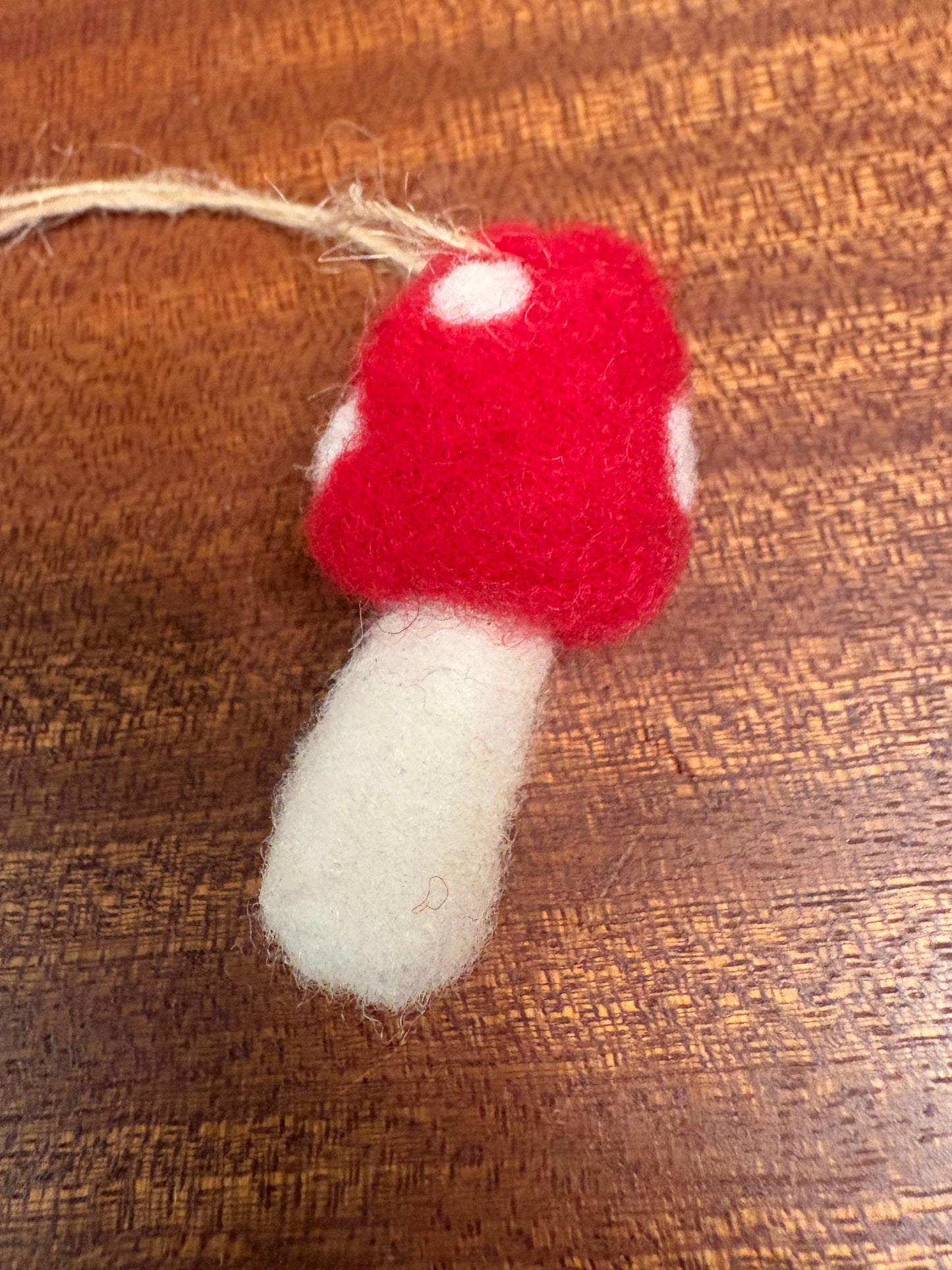 Wool Felted Mushroom Kit