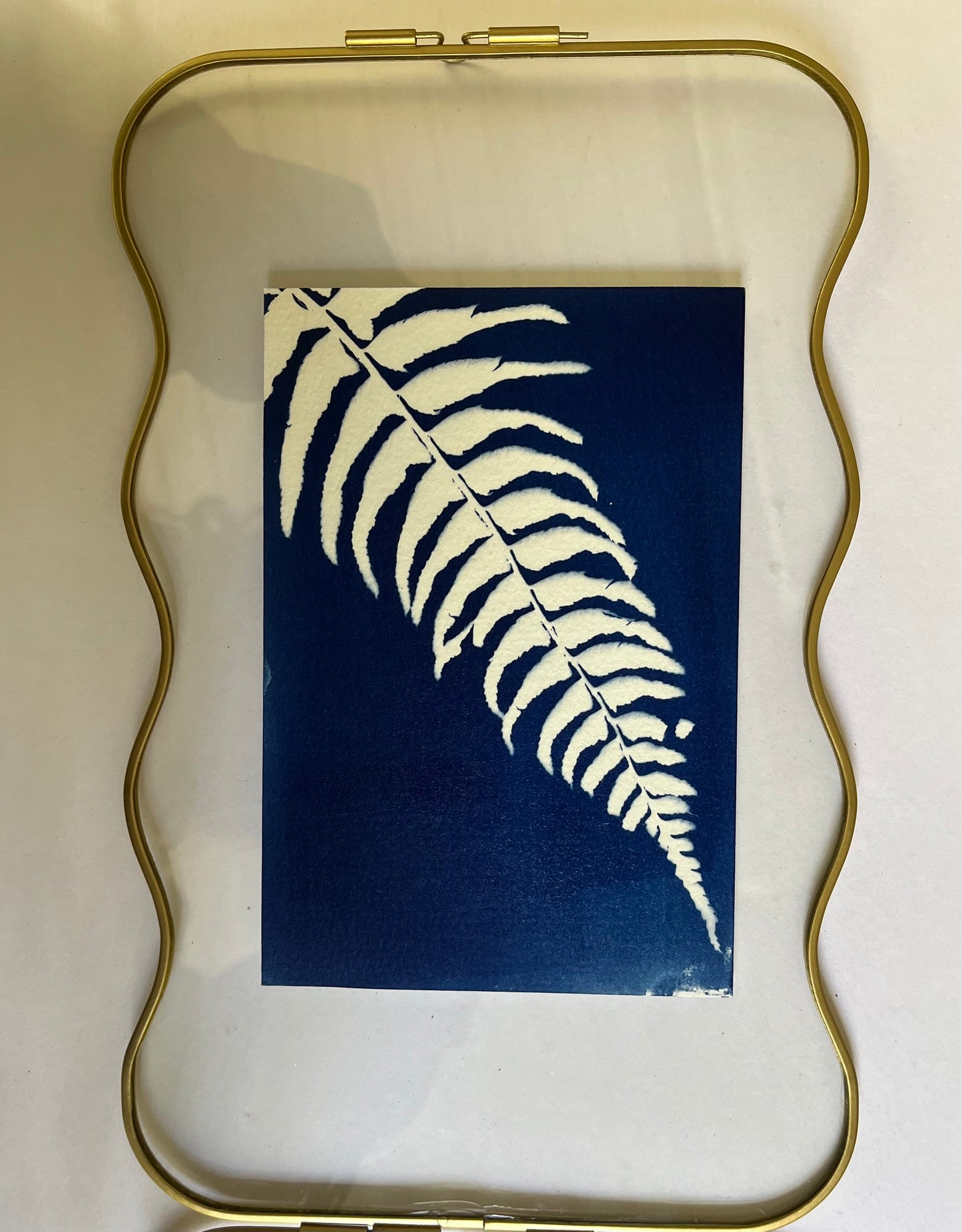 ART CLASS: Cyanotype prints