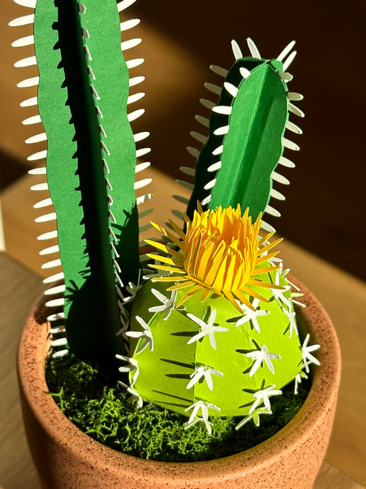 PAPER CLASS: Cactus Potted Plant