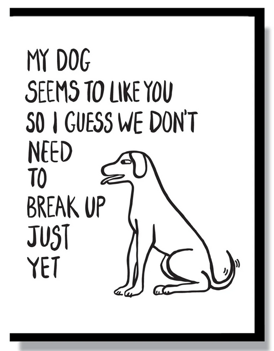 Card - My Dog Seems To Like You (Smitten Kitten)