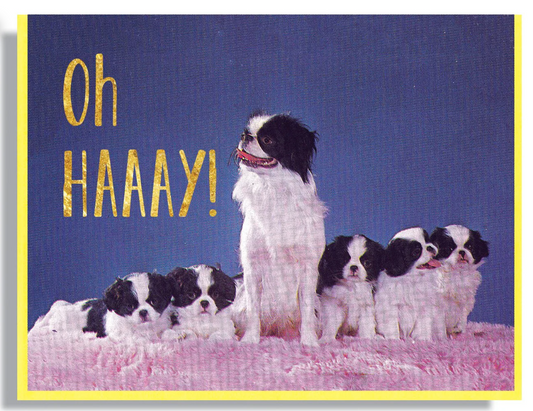 Card - Oh Haaay (Smitten Kitten)