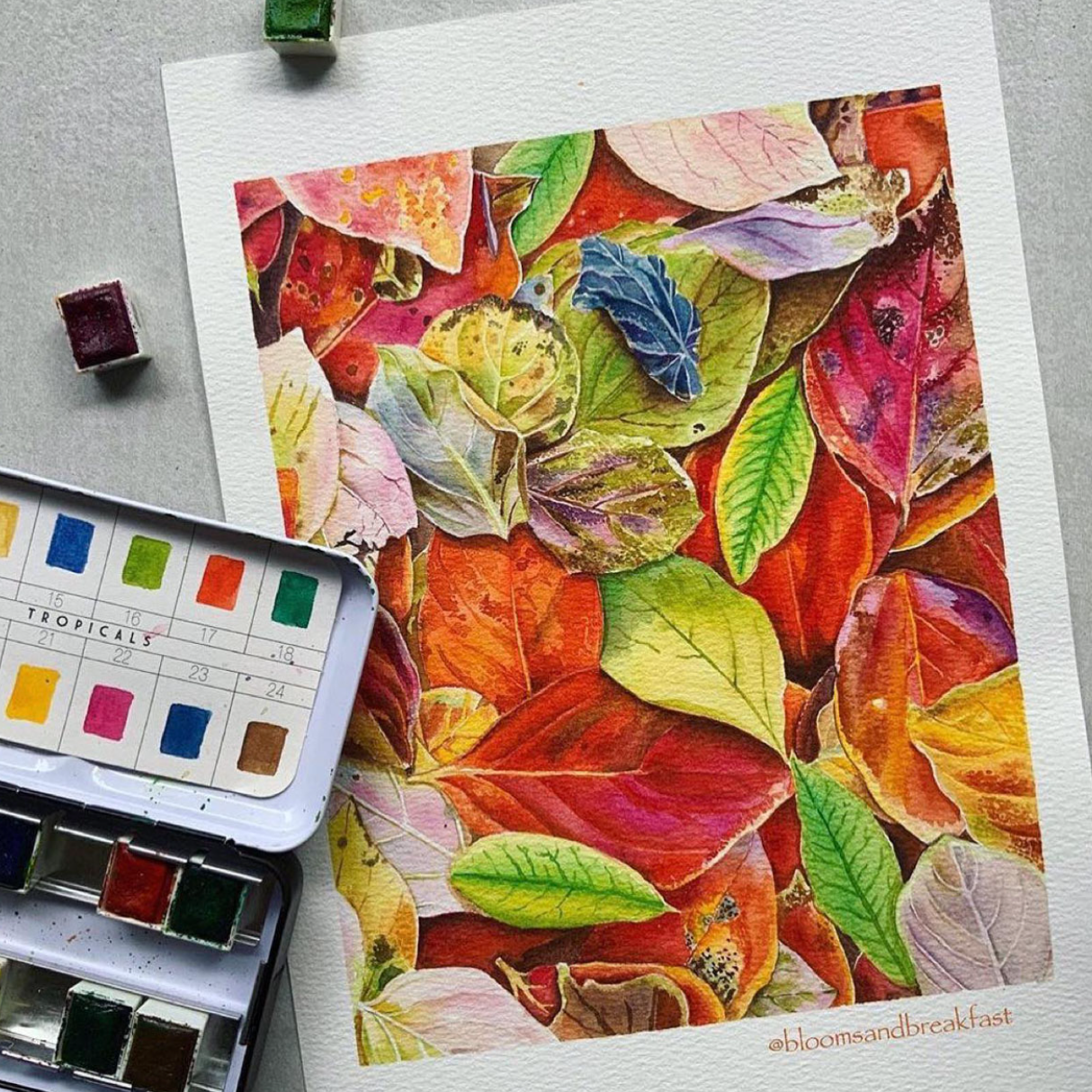 Craft Supply - Watercolor Confections - Tropicals (Notions)