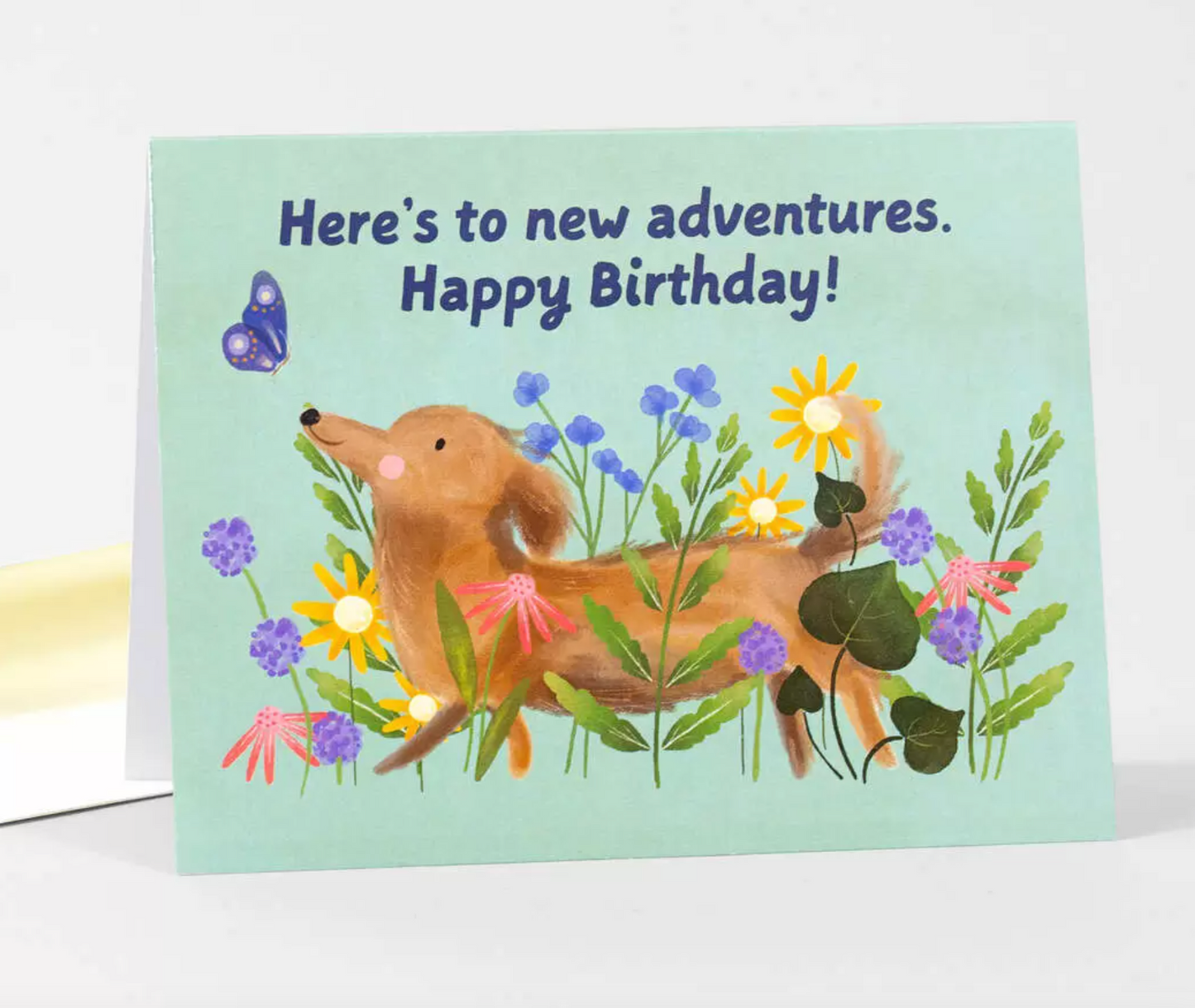 Card - New Adventures Happy Birthday (Buy Olympia / Loose Leaves Paper Goods) Birthday
