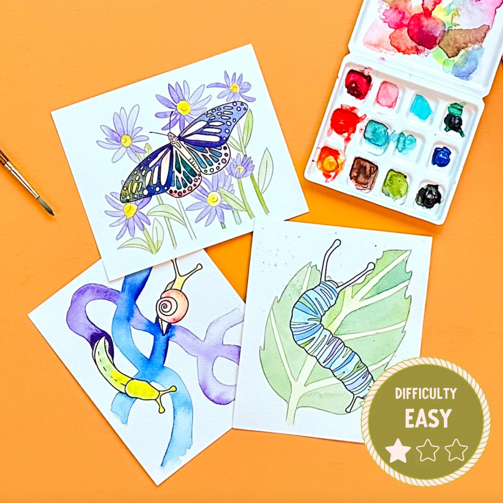 DIY Paint Kit - Mini - Bug Hikes (Splatter & Bloom) Watercolor Easy ...