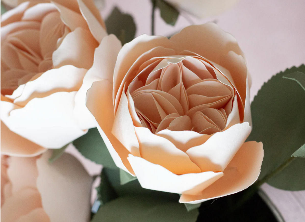 Paper Flower - Juliet Rose