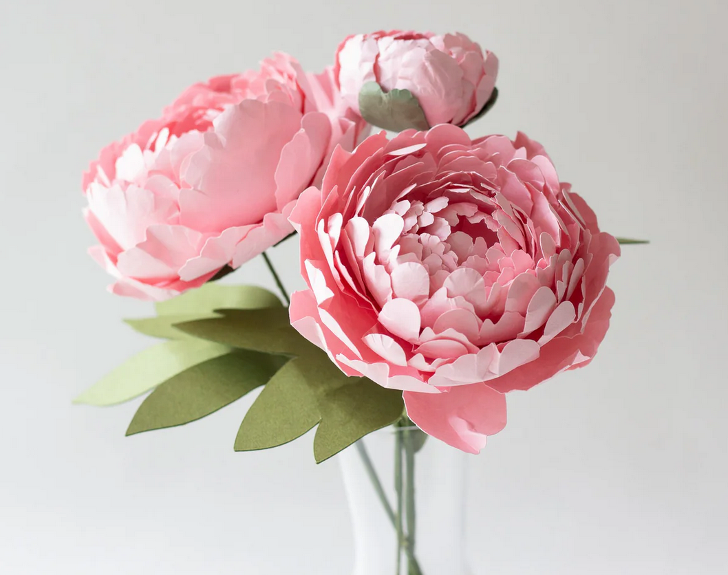 Paper Flower - Peony