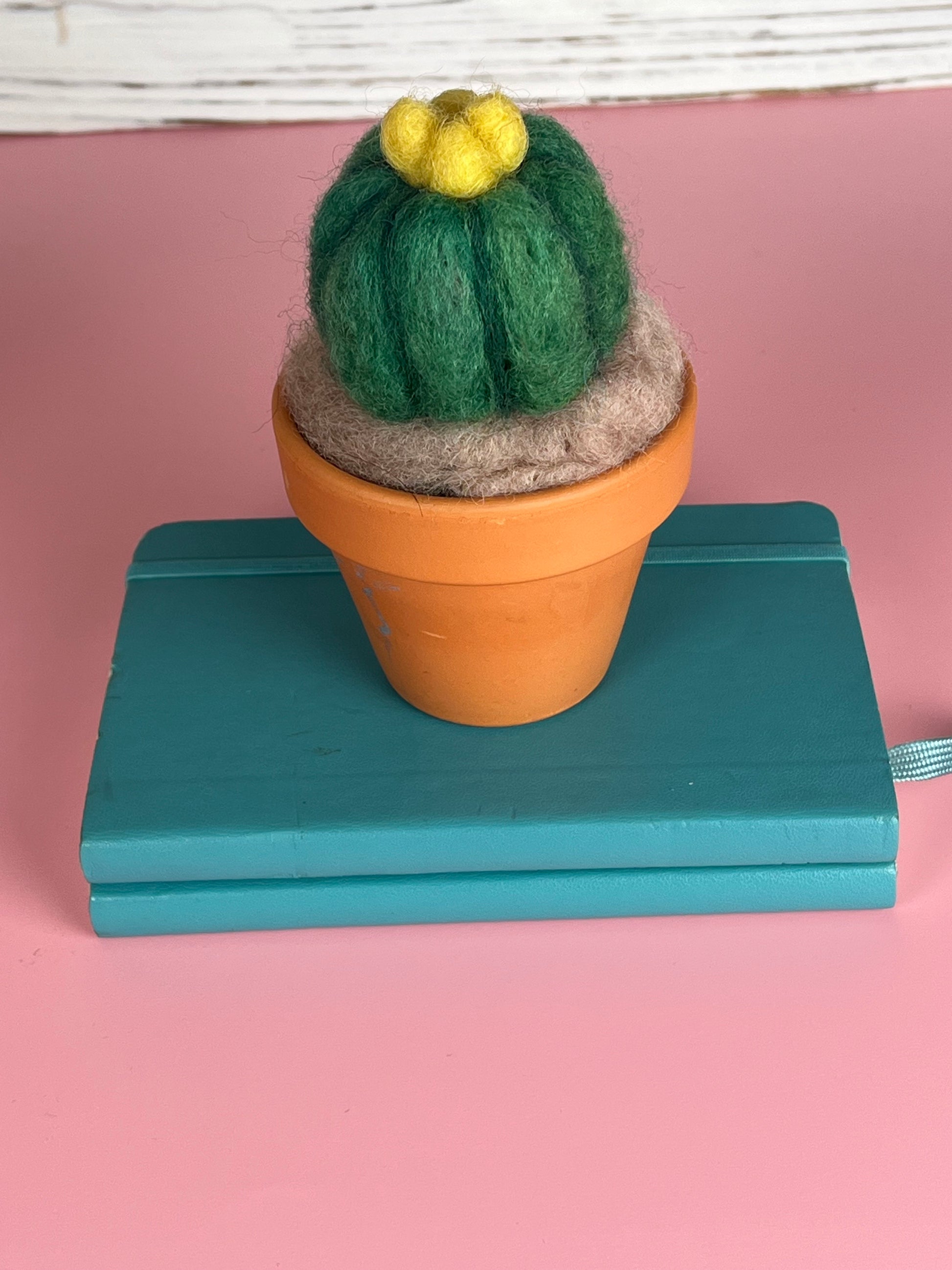 felted succulents FELTING CLASS: Needle Felted Cactus – Swoon City