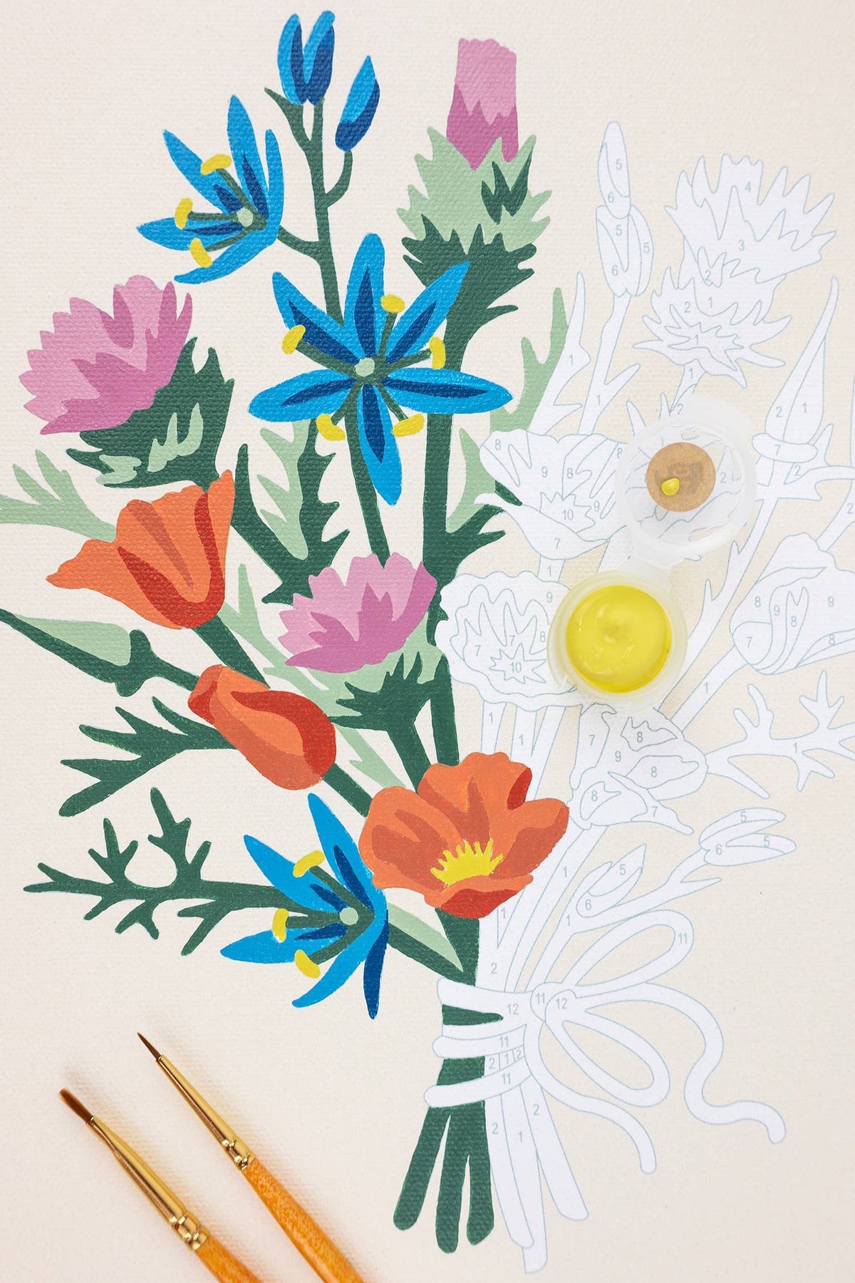 California Wildflowers Paint-by-Number Kit