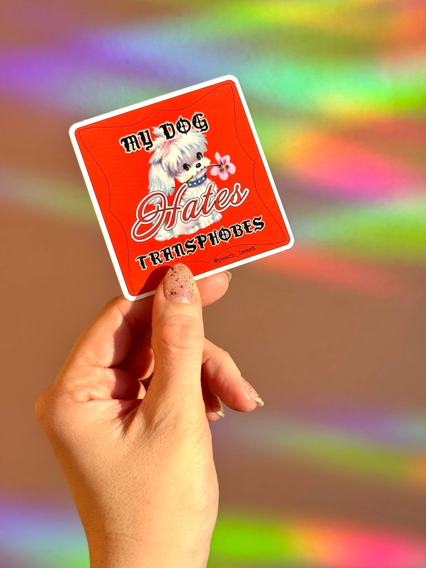 LGBTQ Pet Stickers