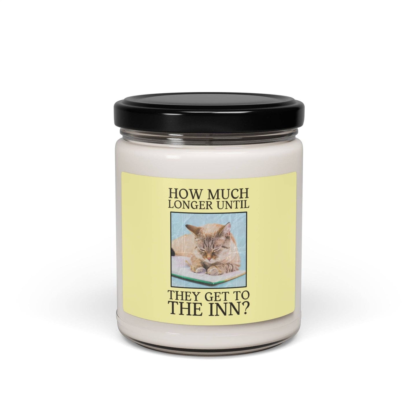 Cat Reading Romance 9 Oz Soy Candle: Funny Romance Trope