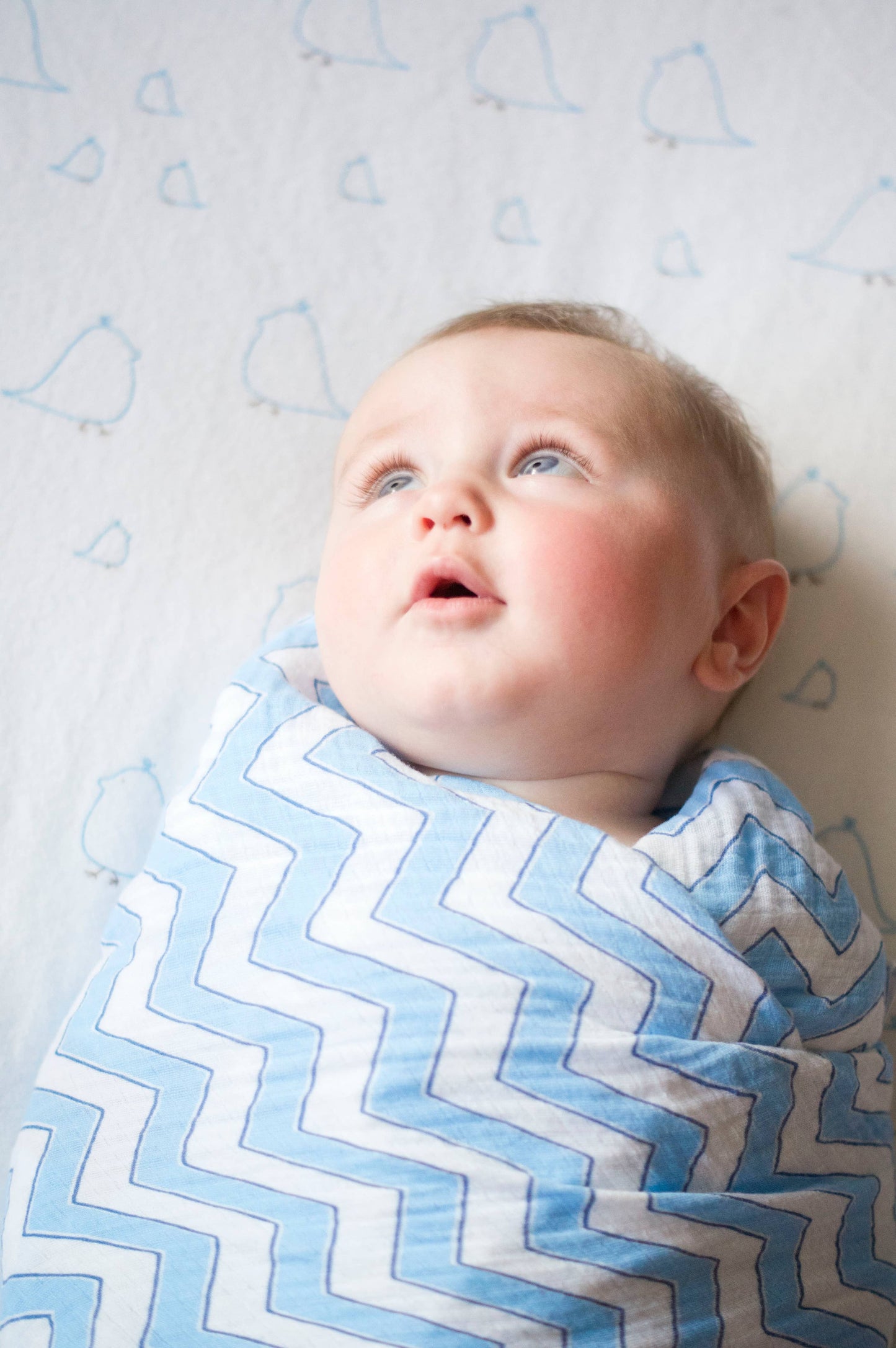 Giraffe & Friends Marquisette Swaddle Blankets Set of 3