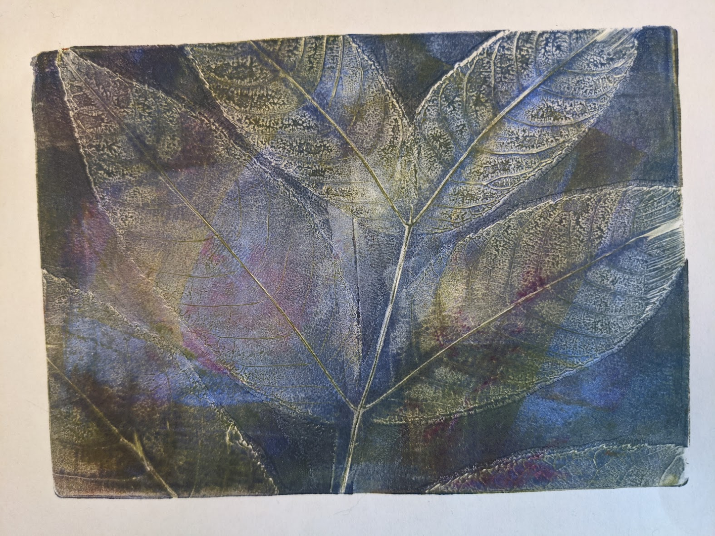 Art Class: Botanical Monoprinting on the Gelli Plate