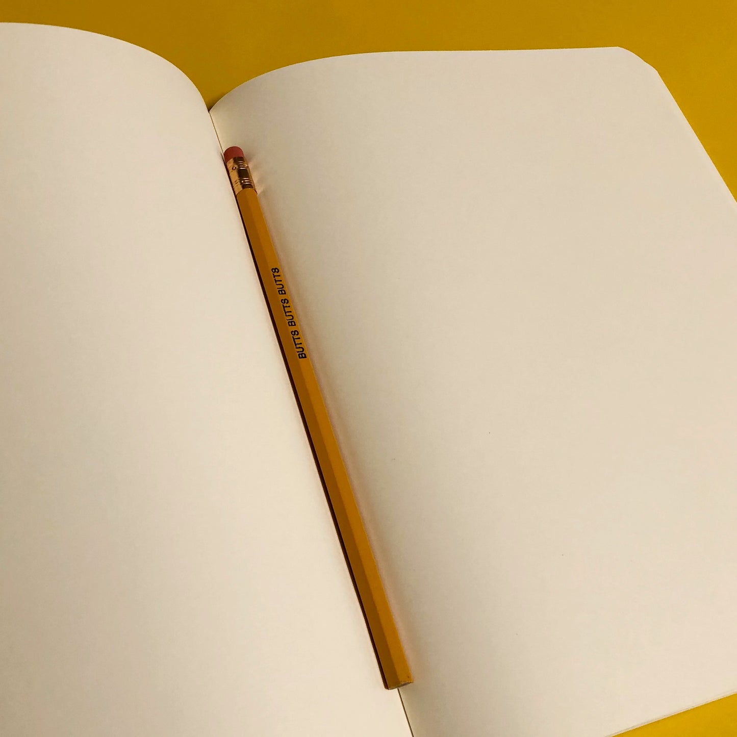 Large Journal - Silver Crystal (A Little Lark)